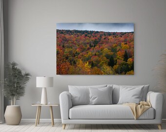 May include: A photograph of a hillside covered in colorful autumn leaves. The leaves are shades of red, orange, yellow, and green. The hillside is covered in trees, and the sky is a light blue.