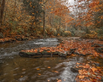 Fall Colors, Mountain Brook, West Virginia Art, Fall Landscape, Fall foliage, Dunloup Creek, Autumn Colors, Autumn in the mountains