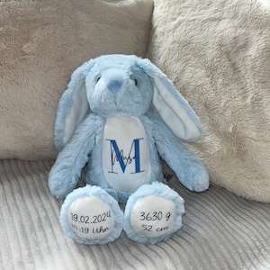 Personalisiertes Kuscheltier/ Stofftier / Geschenk zur Geburt / Geschenk Kinder / Geschen Weihnachten / Geschenk Geburtstag / Geschenk Taufe Blauer Hase