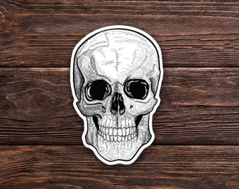 Skull Sticker OR Magnet - Cute - Spooky - Halloween - Hand Drawn  - Laptop Hydroflask Water Bottle Decal - Cute Gift - Pop Culture