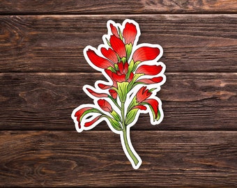 Puede incluir: Una pegatina con una ilustración detallada de una flor de pincel indio roja y verde. La flor tiene pétalos rojos vibrantes con detalles verdes y un tallo verde. La pegatina está delineada en blanco sobre un fondo de vetas de madera oscura.
