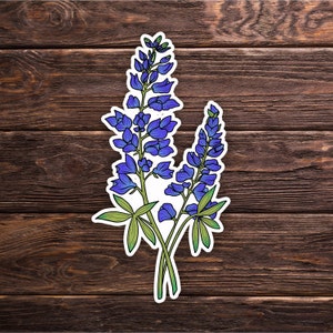 Bluebonnet Sticker - Wildflower - Texas - Floral - Hydroflask Laptop Water Bottle Decals - Cute Gift
