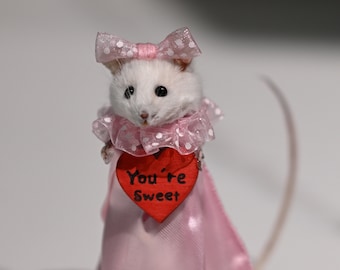 Valentine taxidermy mouse with dress holding heart oddities/curiosity