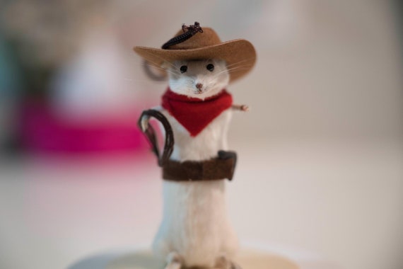Cowboy Dallas Taxidermy Mouse  ~oddities/curiosities