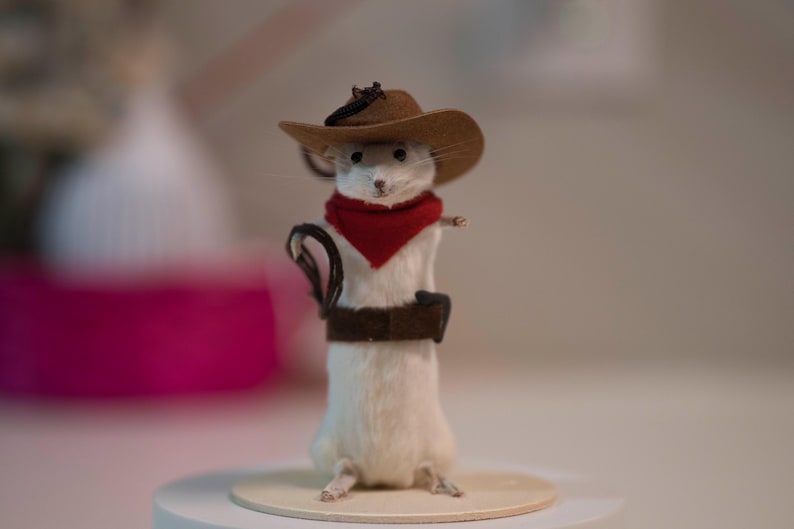 May include: A small white mouse wearing a brown cowboy hat, a red bandana, and a brown belt. The mouse is standing on a wooden platform.