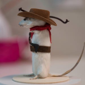 May include: A white mouse wearing a brown cowboy hat with a red bandana and a brown belt. The mouse is standing on a wooden platform.