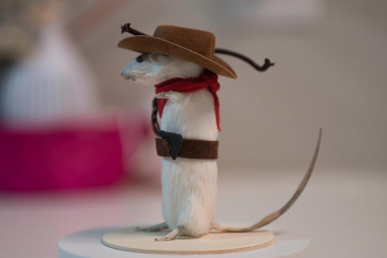 May include: A white mouse wearing a brown cowboy hat with a red bandana and a brown belt. The mouse is standing on a wooden platform.