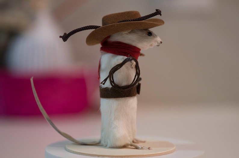 May include: A small white mouse wearing a brown cowboy hat with a red bandana and a brown leather belt with a rope lasso. The mouse is standing on a wooden platform.