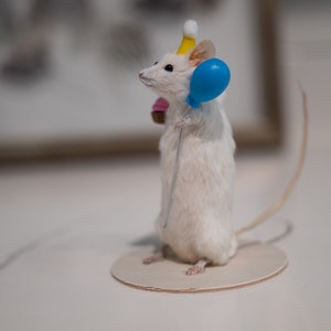 Bizarreries/curiosités de souris d'anniversaire de taxidermie curiosité image 3
