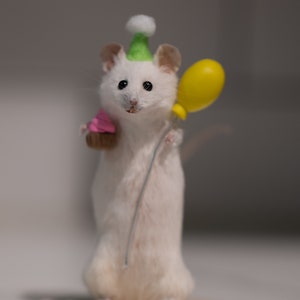 Bizarreries/curiosités de souris d'anniversaire de taxidermie curiosité image 5