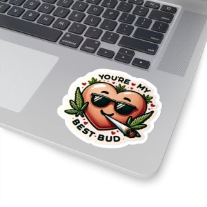 Je bent mijn beste vriend, Stoner sticker, Eww Valentijnsdag, stickers voor volwassenen, Stoner Valentijnsdag, schattige Stoner accessoires, hartstickers