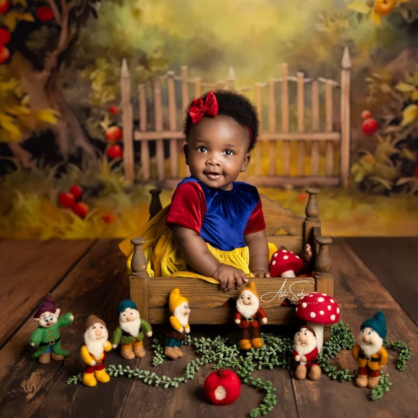 Newborn photography Felt Toy Seven Dwarfs, Newborn Photo Props