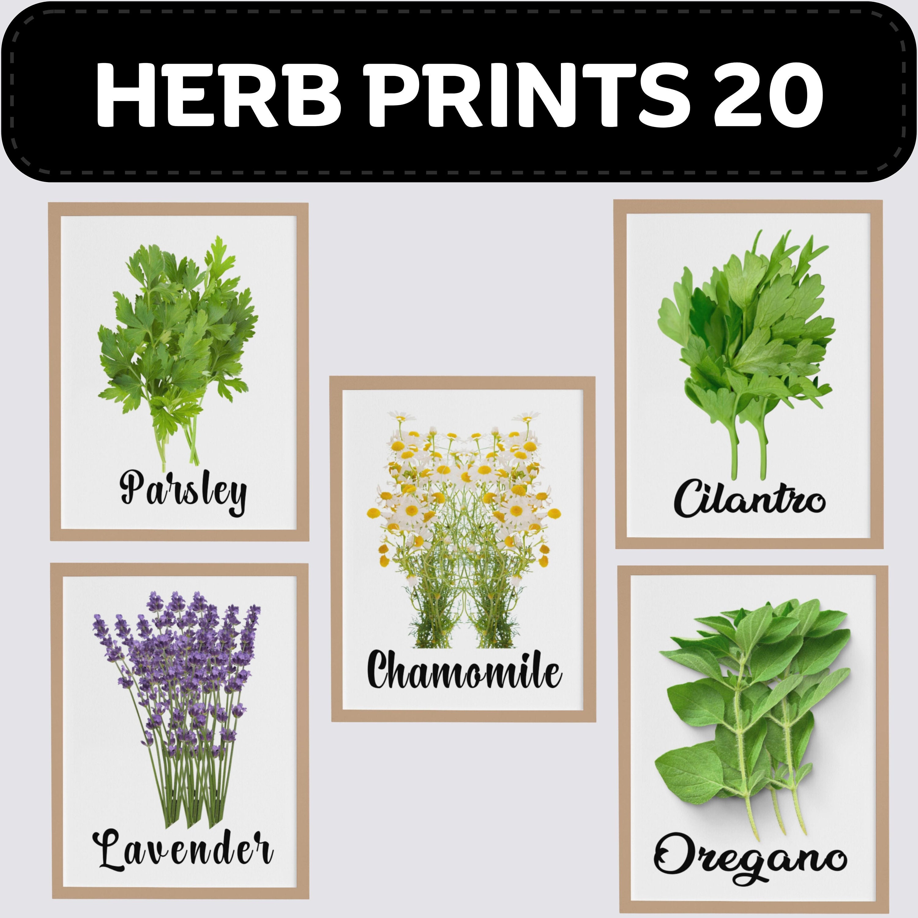 Kitchen Herbs Printable Set of 20, Rustic Kitchen Decor Downloadable ...