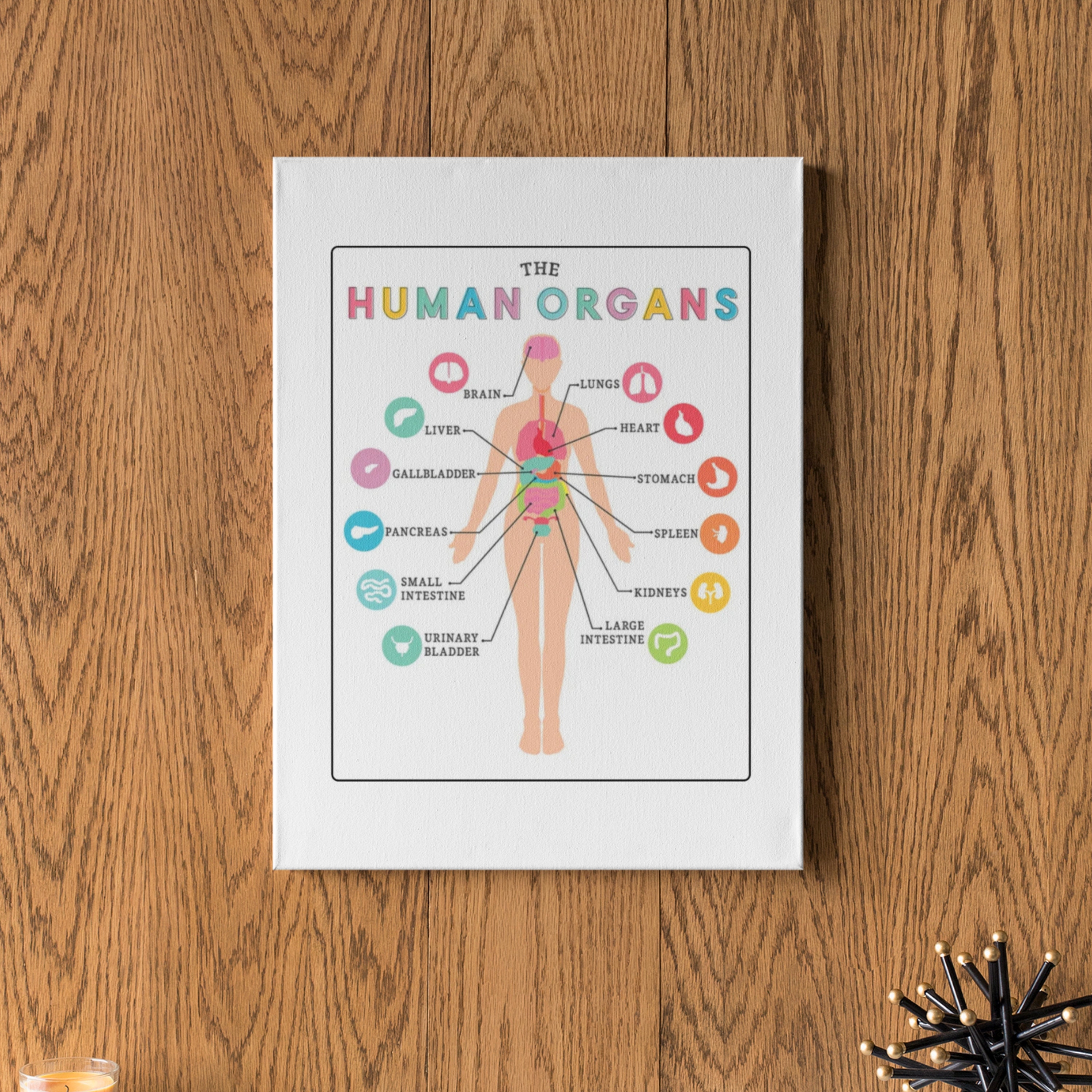 Parts of the Body Labelling Activity Education Printable, Human Anatomy ...