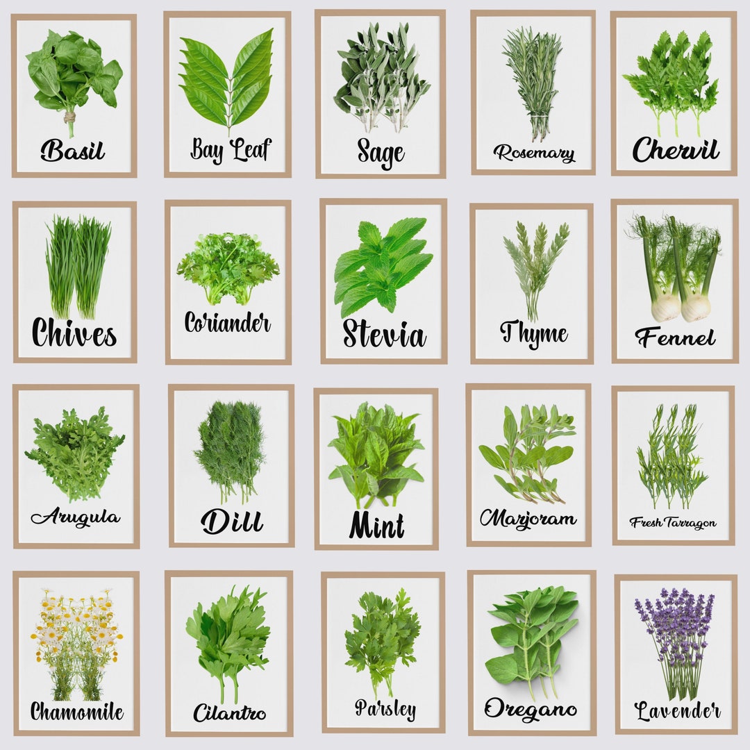 Kitchen Herbs Printable Set of 20, Rustic Kitchen Decor Downloadable ...