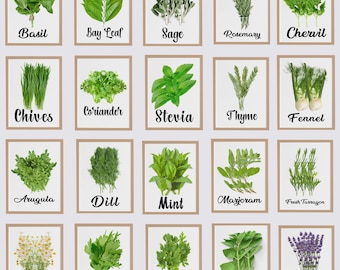 Kitchen Herbs Printable Set of 20, Rustic Kitchen Decor Downloadable Prints