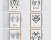 Set of 6 Herb Prints Kitchen Printable Art