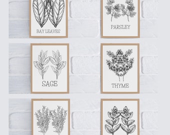 Set of 6 Herb Prints Kitchen Printable Art