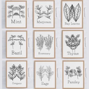 Op de afbeelding: Negen zwart-wit illustraties van verschillende kruiden, elk ingelijst in een bruin kader. De kruiden zijn gelabeld met hun namen: Munt, Marjolein, Laurierbladeren, Basilicum, Rozemarijn, Tijm, Oregano, Salie en Peterselie.