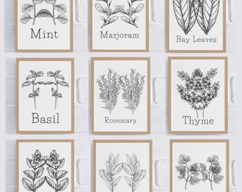Hand Drawn Digital Herb Prints, Set Of 9 Printable Kitchen Wall Art