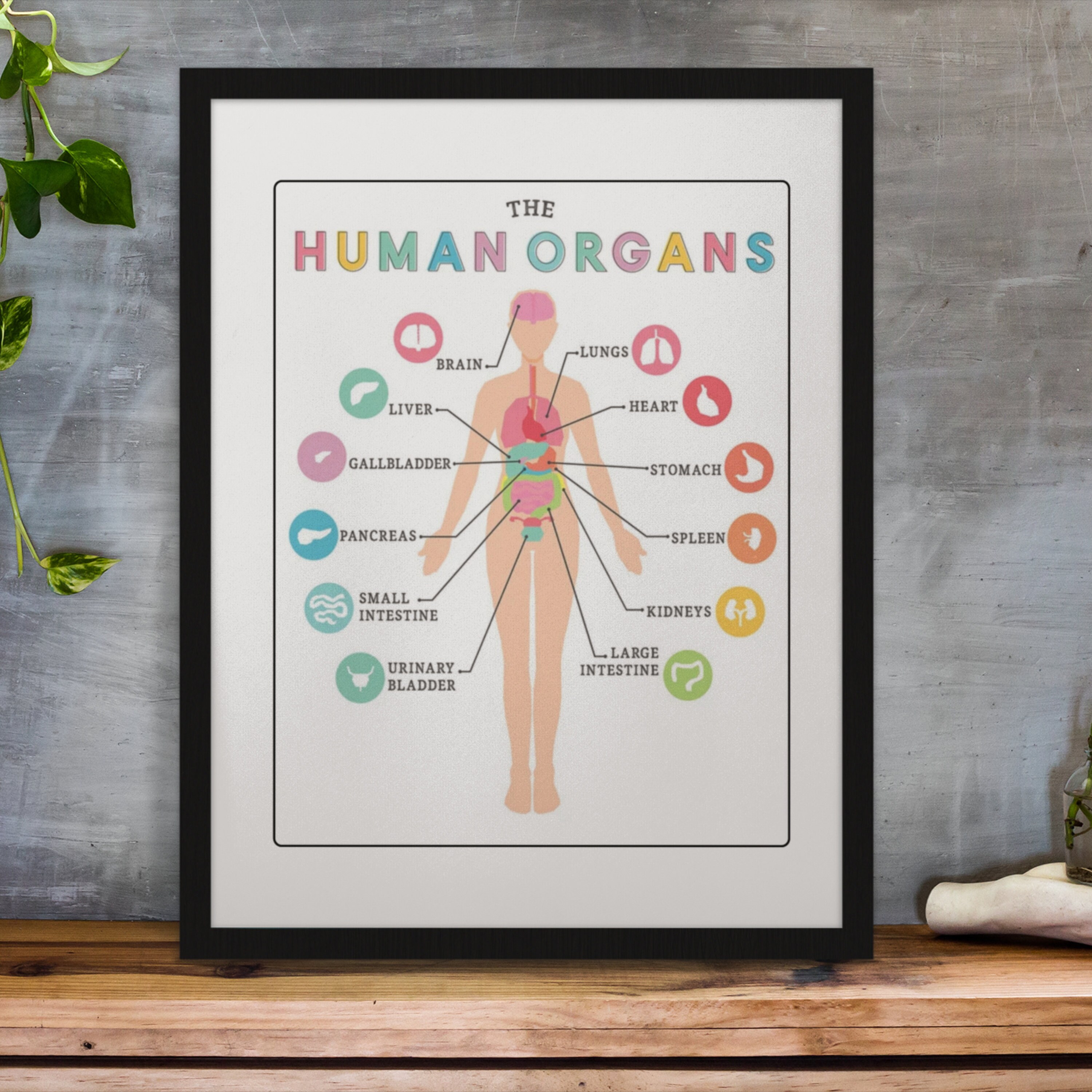 Parts of the Body Labelling Activity Education Printable, Human Anatomy ...