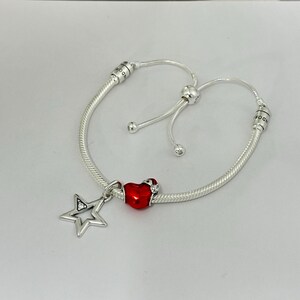 Pandora Chris as Heart and Star Bracelet Gift Set