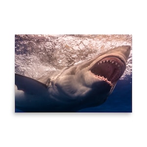 The Big Bite - photo paper poster