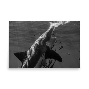 Deep Rising - photo paper poster