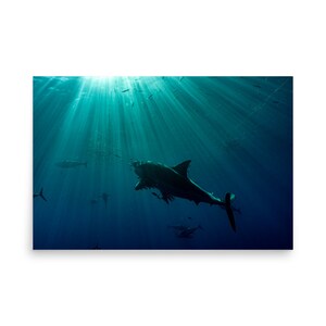 Into the Light - photo paper poster