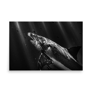 From the Deep - photo paper poster