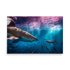 Twinning! - photo paper poster