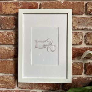 Lumbar Vertebrae Anatomy Print, Anatomy Poster, Wall Art, Medical Drawing, A5 Art