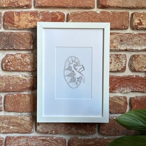 Kidney Anatomy Print, Anatomy Poster, Wall Art, Medical Drawing, A5 Art