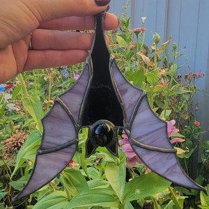 Hanging Batty