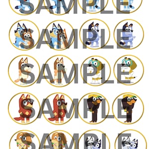 Bluey Cupcake Toppers