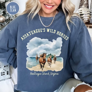 Wild Horses Assateague Island Comfort Colors® Sweater Gift, Wild Horses on Beach Sweatshirt, Horse Lover Gift, Virginia Beach Horses Shirt