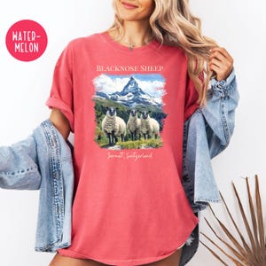 K&ouml;nnte beinhalten: Rotes T-Shirt mit einer Grafik von drei Schwarznasenschafen vor einer Bergkette. Der Text "BLACKNOSE SHEEP" und "Zermatt, Switzerland" sind oberhalb und unterhalb des Bildes aufgedruckt. Das T-Shirt hat kurze &Auml;rmel.
