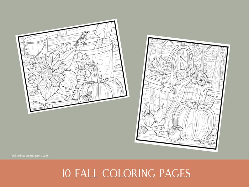 May include: Two black and white colouring pages featuring autumn harvest themes. The first page shows a sunflower, a pumpkin, a bucket, and a bird. The second page shows a basket of fruit, a pumpkin, and a blanket.