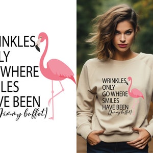 Flamingo Jimmy Buffett PNG, immy Buffett Tee, rimpels gaan alleen waar glimlachen zijn geweest shirt, Jimmy Buffett fan cadeau, digitale download