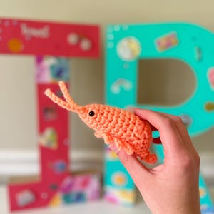 Shrimp ~ Crochet Plushie ~ ShopIzzieRuth