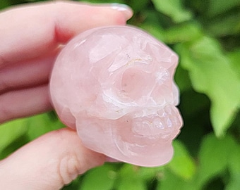 May include: A rose quartz skull carving, displaying a soft pink colour. The skull has detailed features, including eye sockets, a nasal cavity, and teeth. The smooth, polished surface reflects light, emphasising the stone's natural colour and texture. The background is blurred green foliage.