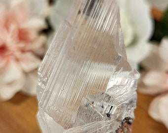 GORGEOUS RARE & NATURAL Naica Selenite on matrix A