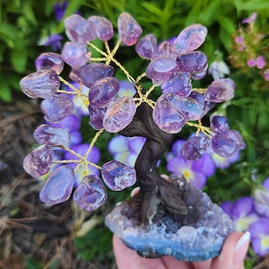 MOOIE Amethist Bonsai Crystal Tree F