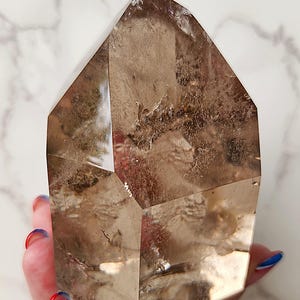 BEAUTIFUL Smoky Quartz Tower w/Rainbows and a Pocket of Golden Rutile & Garden Inclusions DD