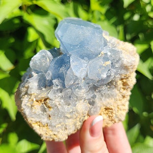 GEMMY Blue Celestite B