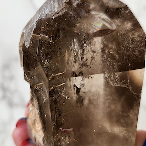 BEAUTIFUL Semi Polished & Half Raw Smoky Quartz Crystal Tower with Golden Rutile and Garden Inclusions GG