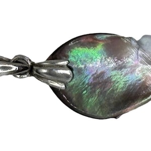 Seashell and Sterling Silver Pendant