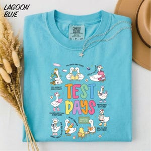 Test Day Shirt, Silly Goose Sweatshirt, Funny Testing Tee, Funny Teacher Sweater, Motivational Teacher Comfort Colors T-Shirt