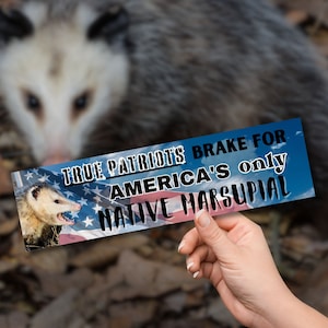 Funny Possum Bumper Sticker - I brake for America's only Native Marsupial - opossum sticker gift for feral girl animal lover