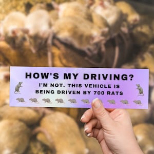 Funny Bumper Sticker - How&#39;s my Driving? I&#39;m not, this vehicle is being Driven by 700 Rats - Unique funny meme sticker gift for girlfriend